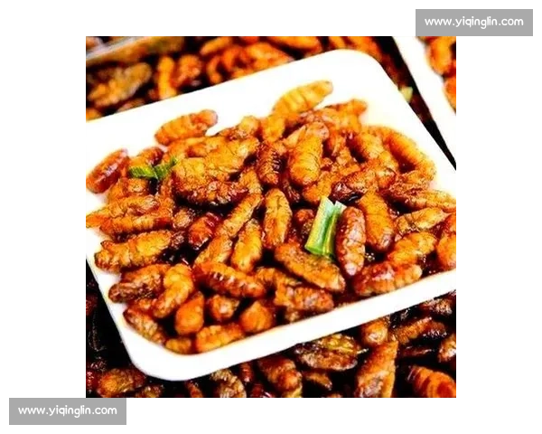 全球最刺激吃虫子大赛现场挑战极限勇气与味蕾体验 全球最刺激吃虫子大赛现场挑战极限勇气与味蕾体验