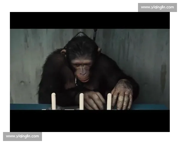 办公室趣味竞技赛集结挑战智力与团队合作激情的完美盛宴 办公室趣味竞技赛集结挑战智力与团队合作激情的完美盛宴