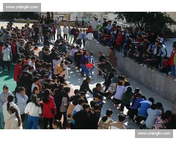 大学拔河比赛总结与反思团队合作精神与体育精神的体现